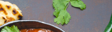 a spring of cilantro and naan on a grey background